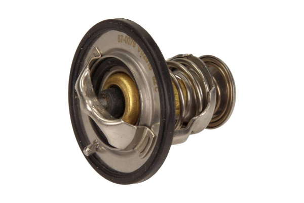 Thermostat d'eau