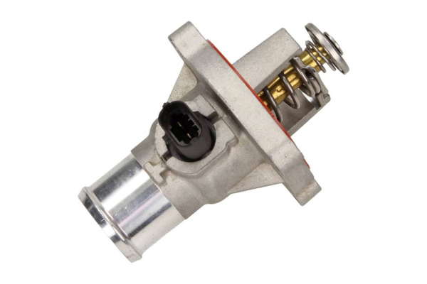 Thermostat d'eau