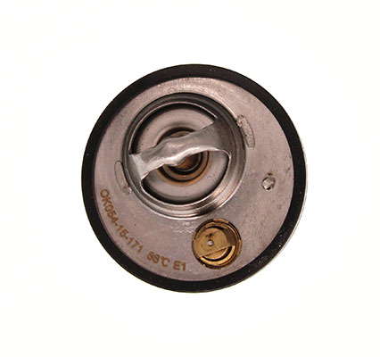 Thermostat d'eau