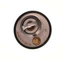 Thermostat d'eau