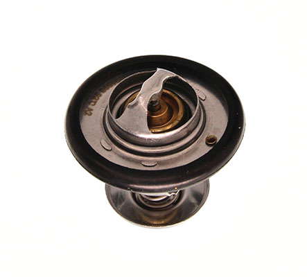 Thermostat d'eau