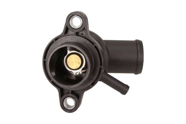 Thermostat d'eau