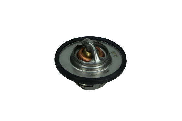 Thermostat d'eau