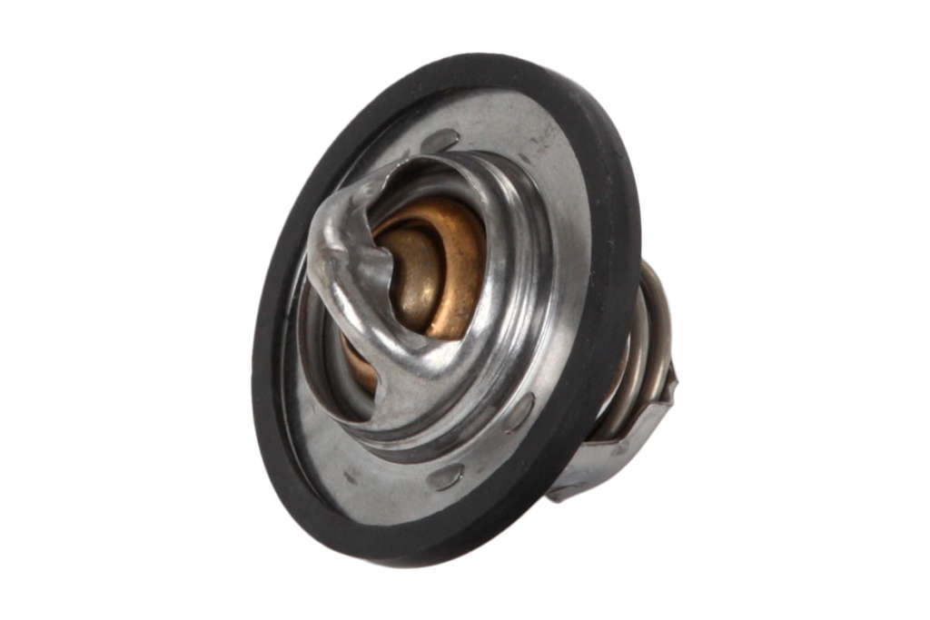 Thermostat d'eau