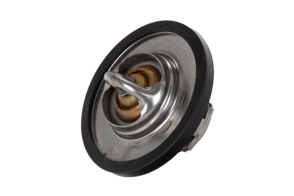 Thermostat d'eau