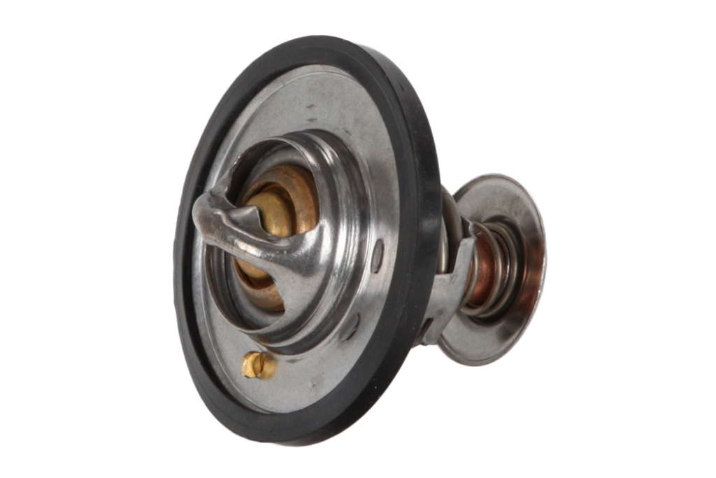 Thermostat d'eau