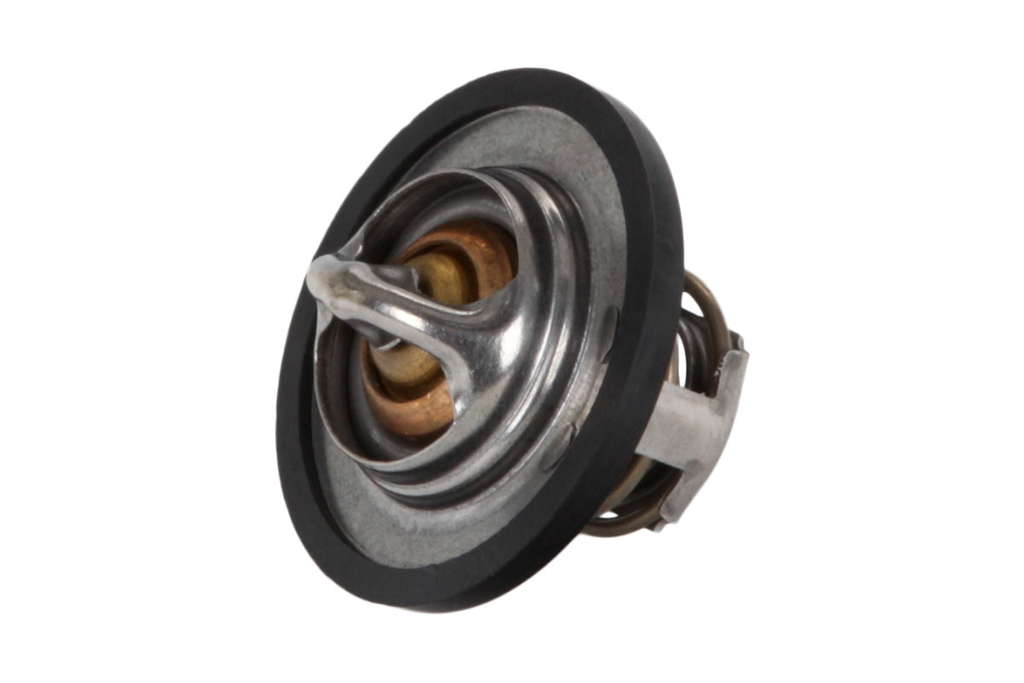 Thermostat d'eau