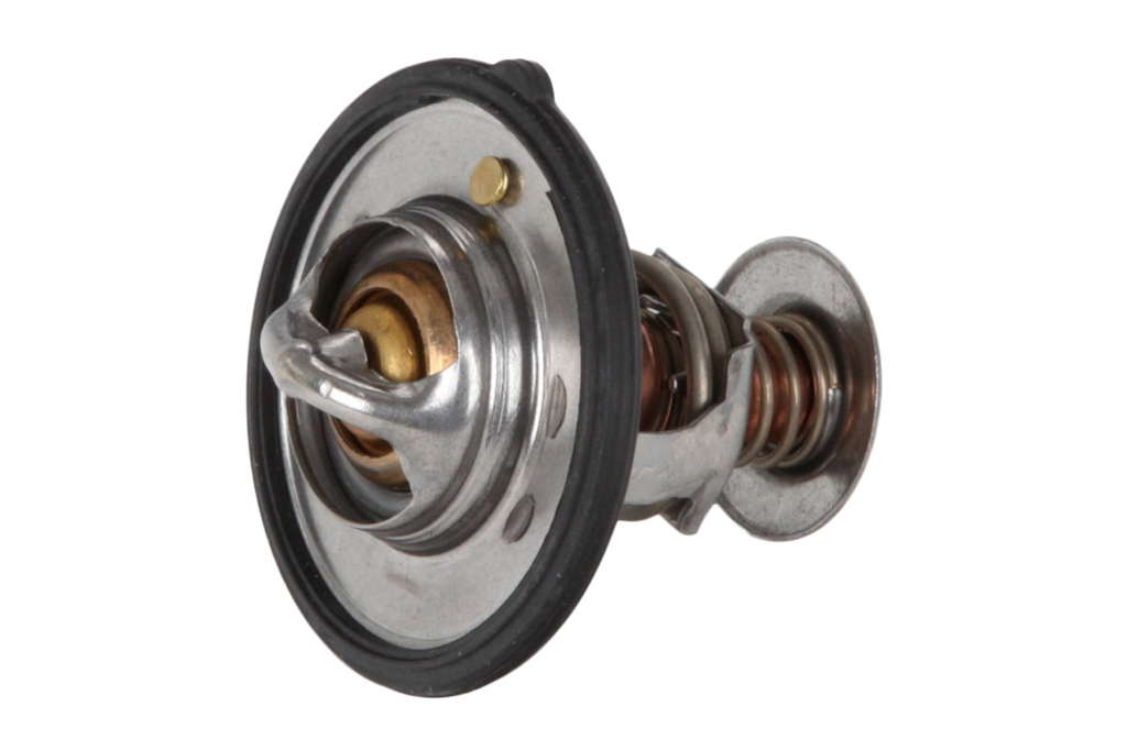 Thermostat d'eau