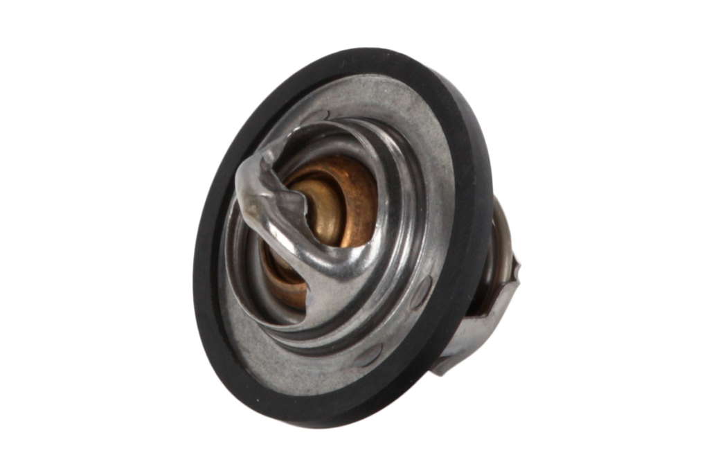 Thermostat d'eau
