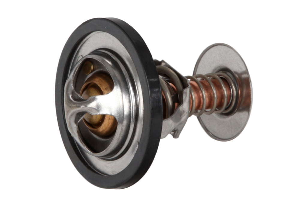 Thermostat d'eau