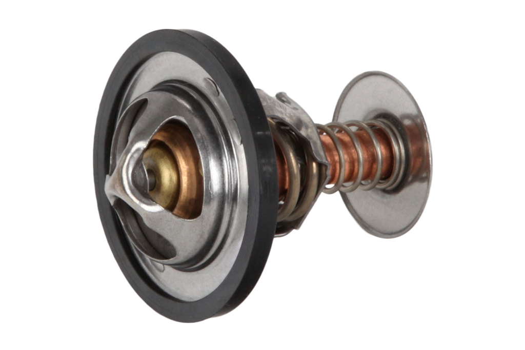 Thermostat d'eau