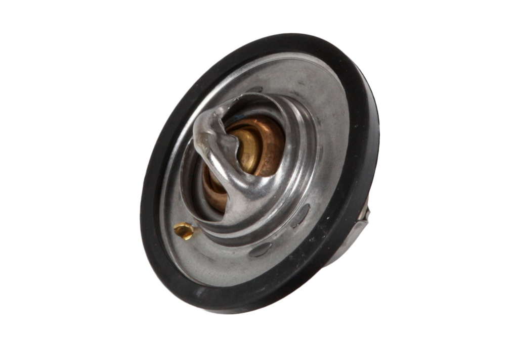 Thermostat d'eau