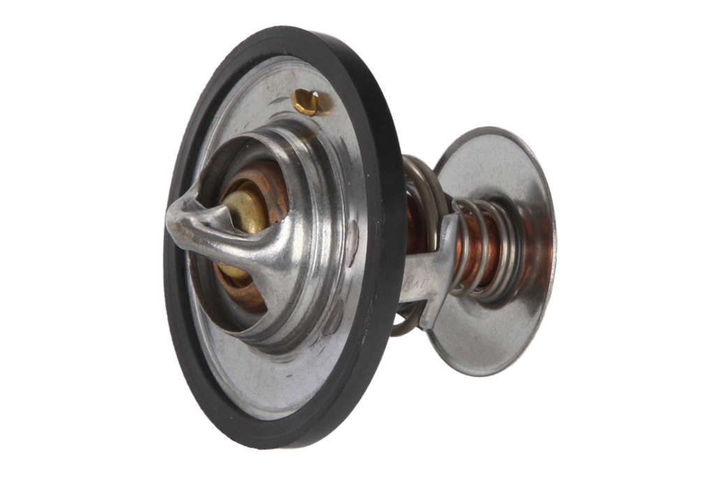 Thermostat d'eau