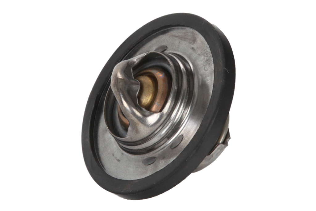 Thermostat d'eau