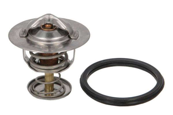 Thermostat d'eau