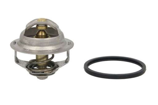 Thermostat d'eau