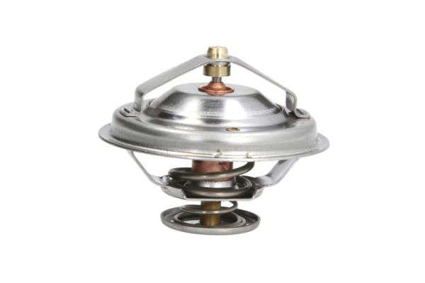 Thermostat d'eau