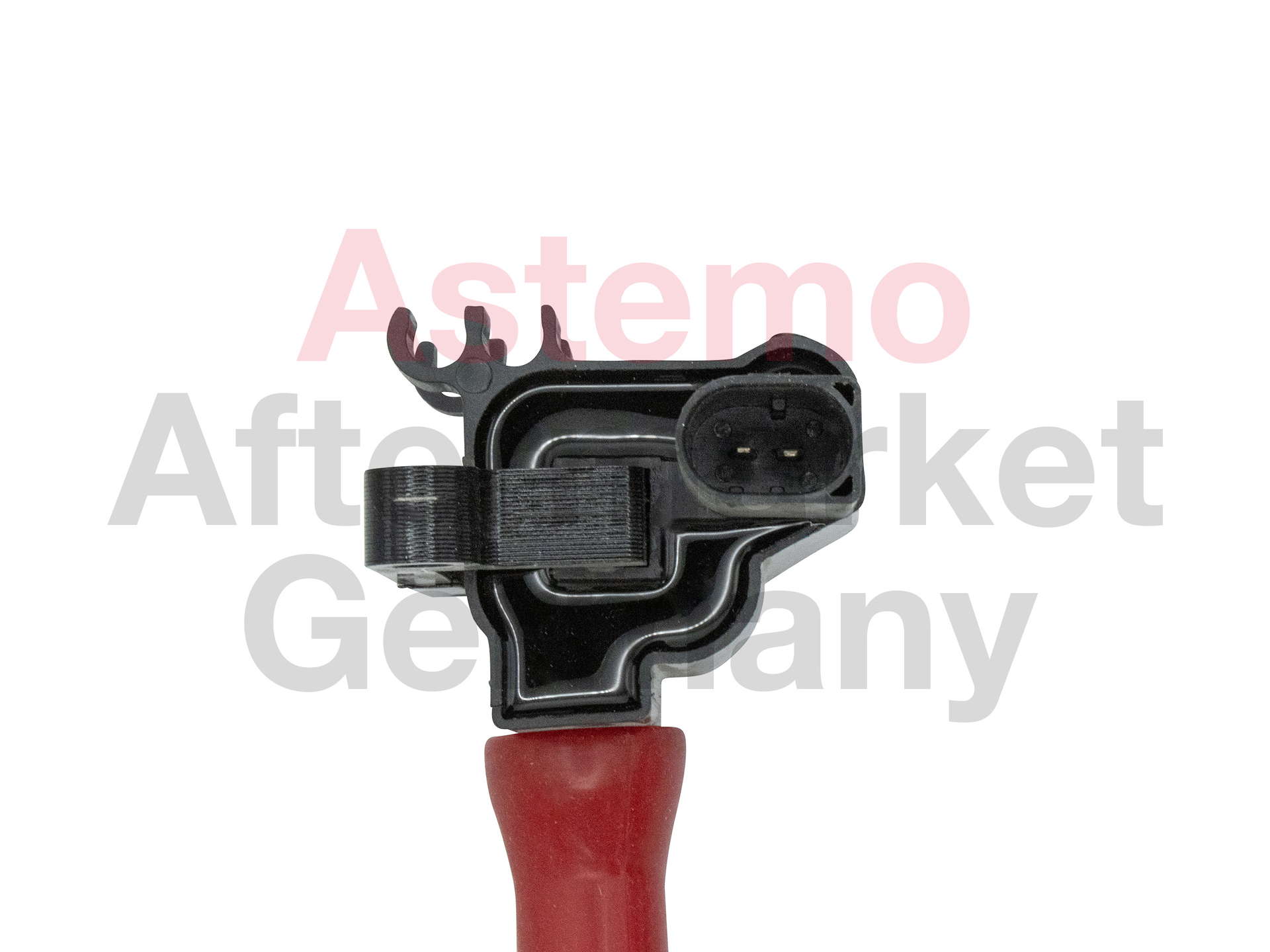 igc_2503838_2