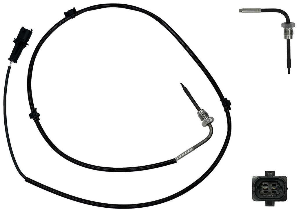 Palpeur (température des gaz)