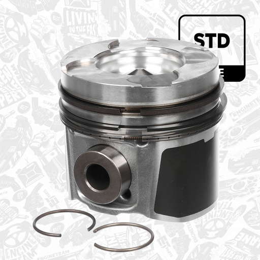 Piston