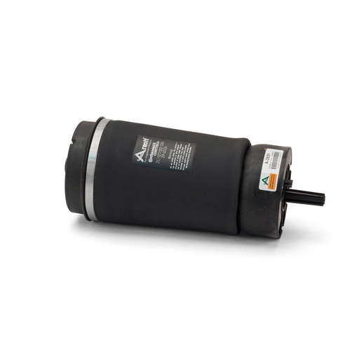 AIR SPRING A-2831 REAR NEW
