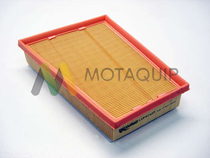 Filtre à air