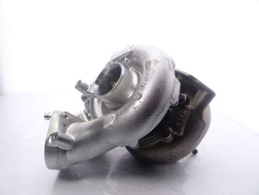 728989-5019s(5)