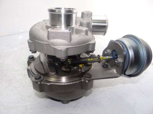 757886-5003w(3)