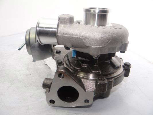 757886-5003w(4)
