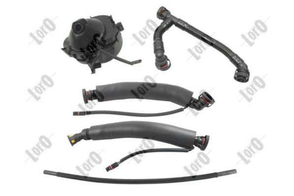 Tuyau (ventilation du carter-moteur) (LORO)