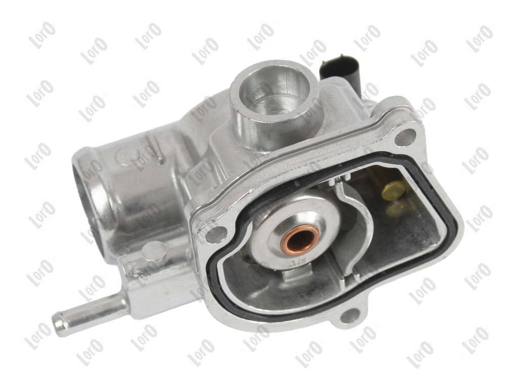 Thermostat d'eau (LORO)