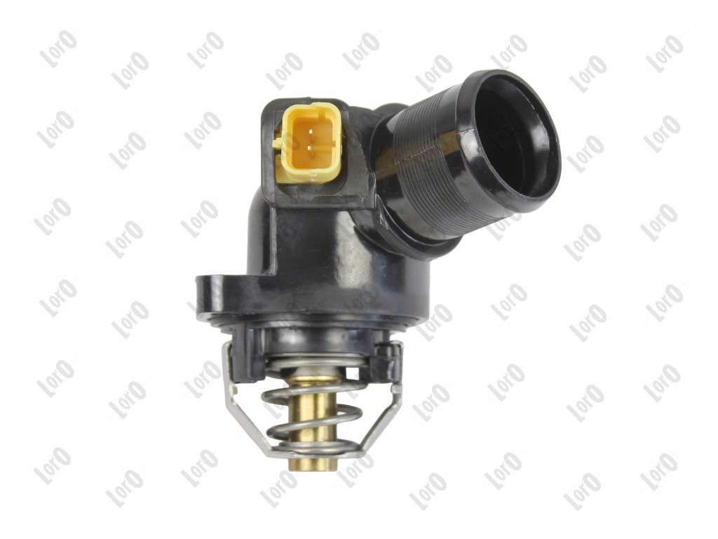 Thermostat d'eau (LORO)