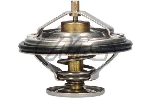 Thermostat d'eau