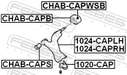 CHAB-CAPB_1