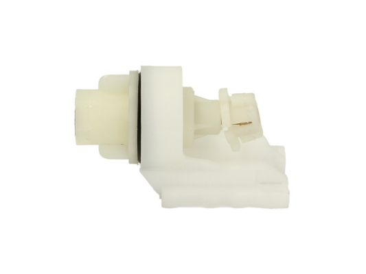 Cuvelage, projecteur principal