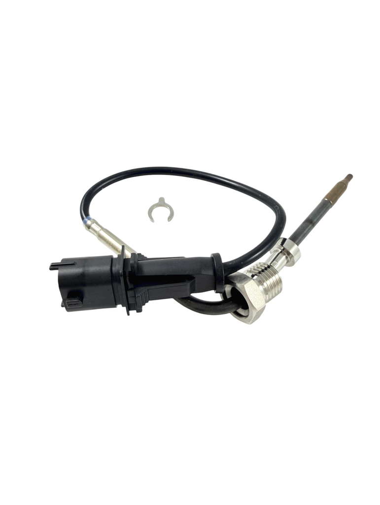 Palpeur de température des gaz