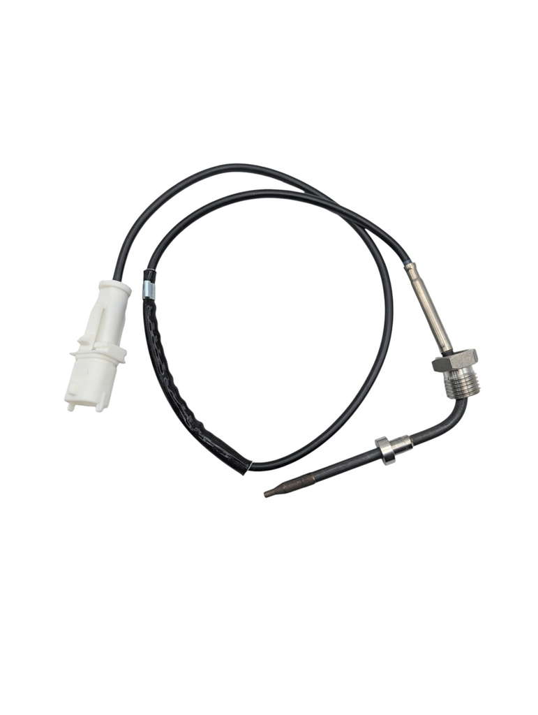 Palpeur de température des gaz