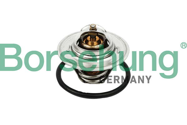 Thermostat d'eau