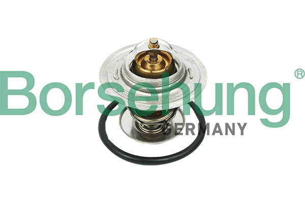 Thermostat d'eau