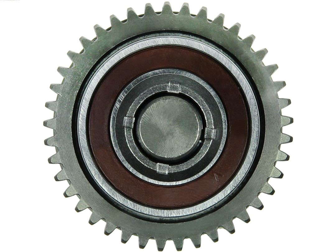 126493