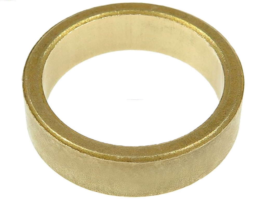 Bague de démarreur