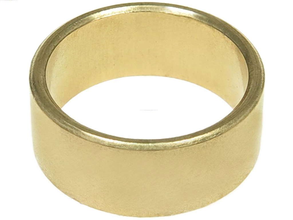Bague de démarreur