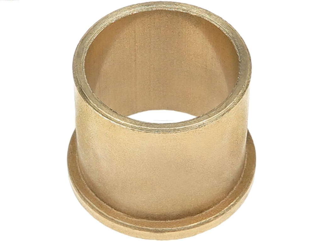 Bague de démarreur