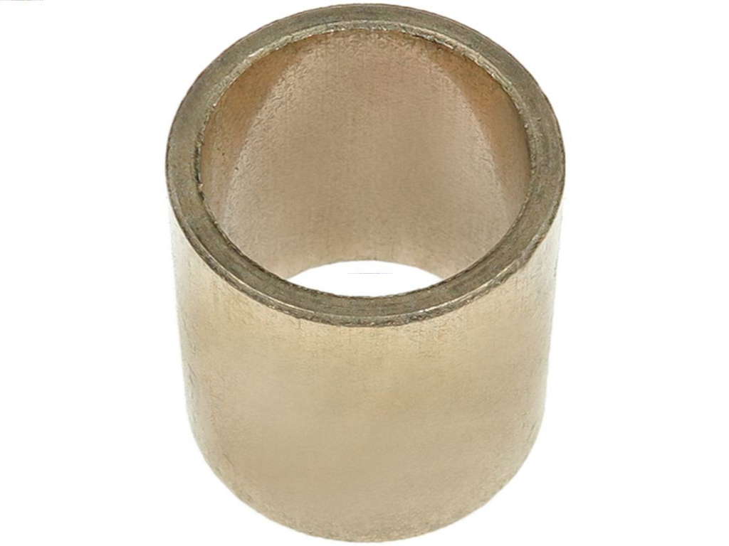 Bague de démarreur