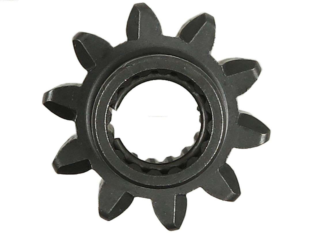 250393