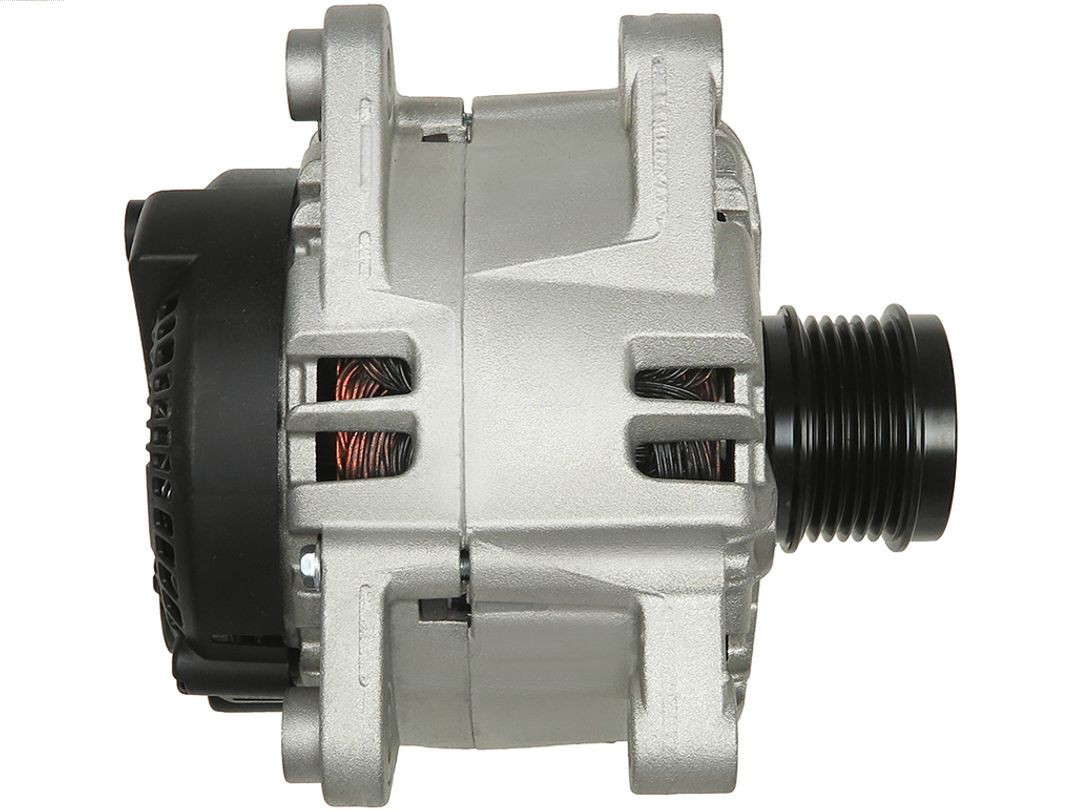 282564