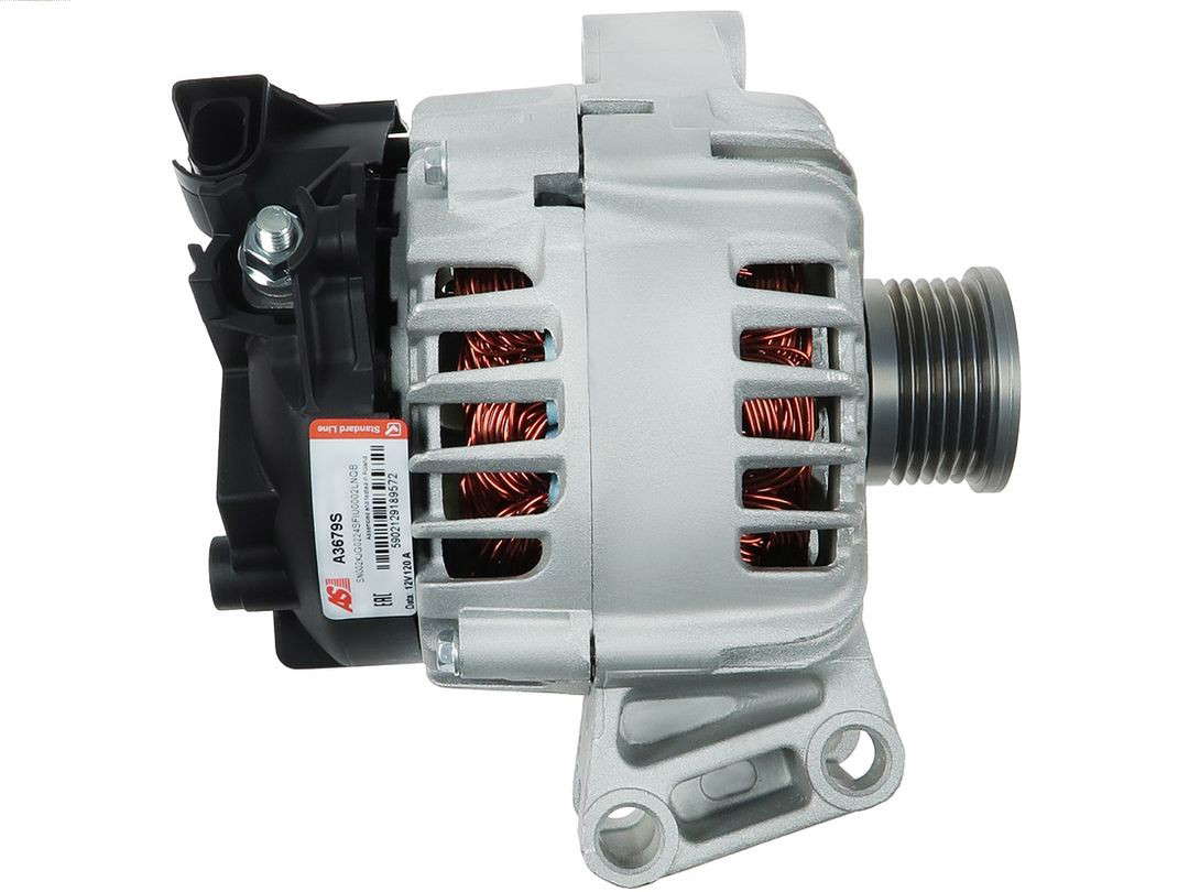303262