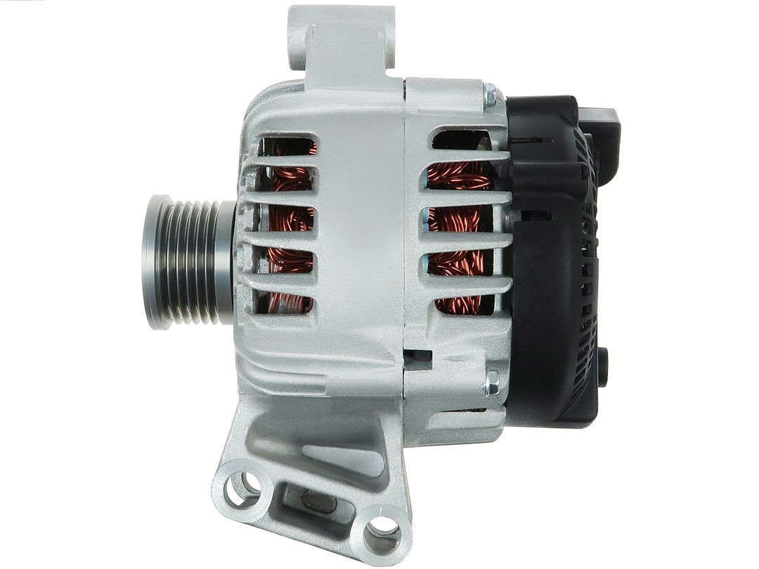 303264