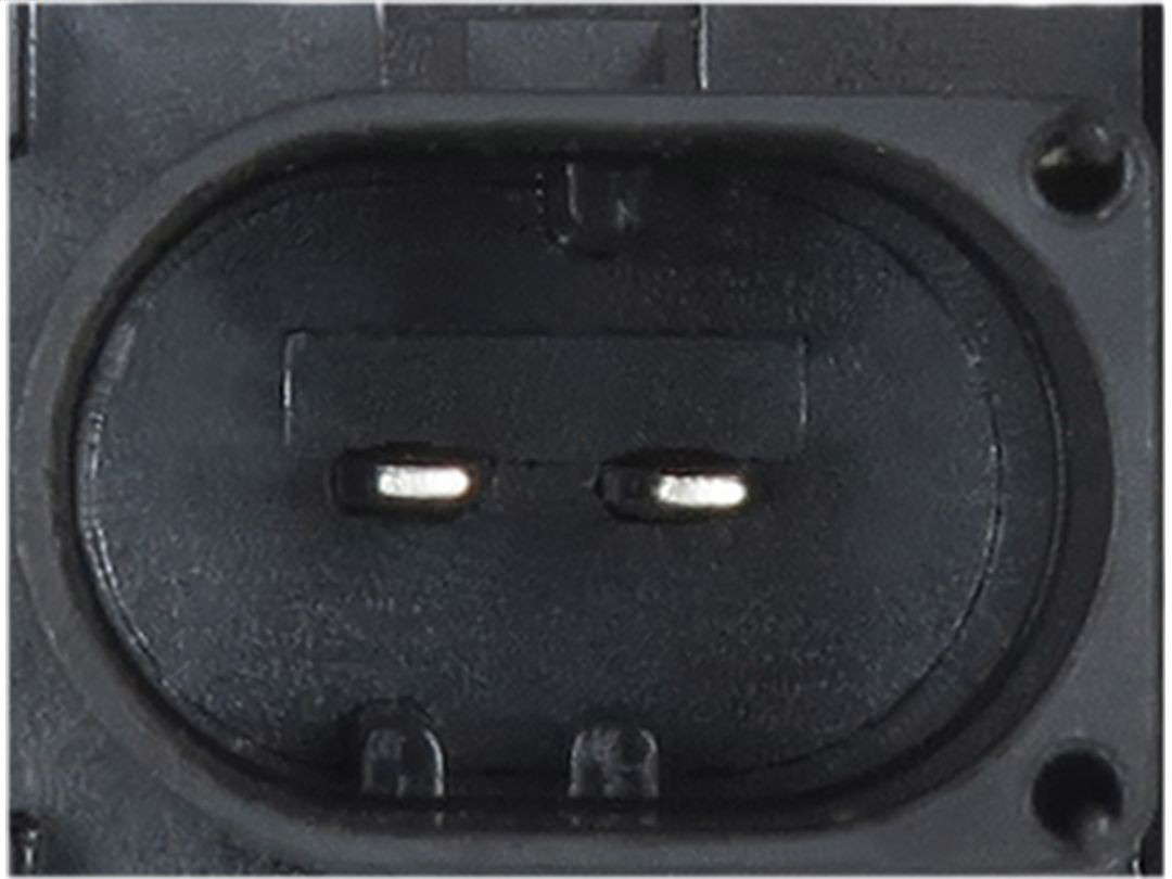 338881