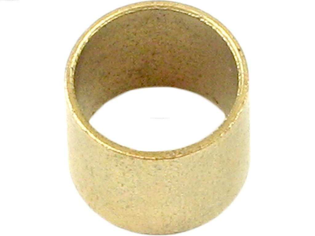Bague de démarreur